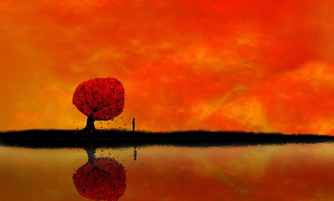 海口笙影微信朋友圈转发案例